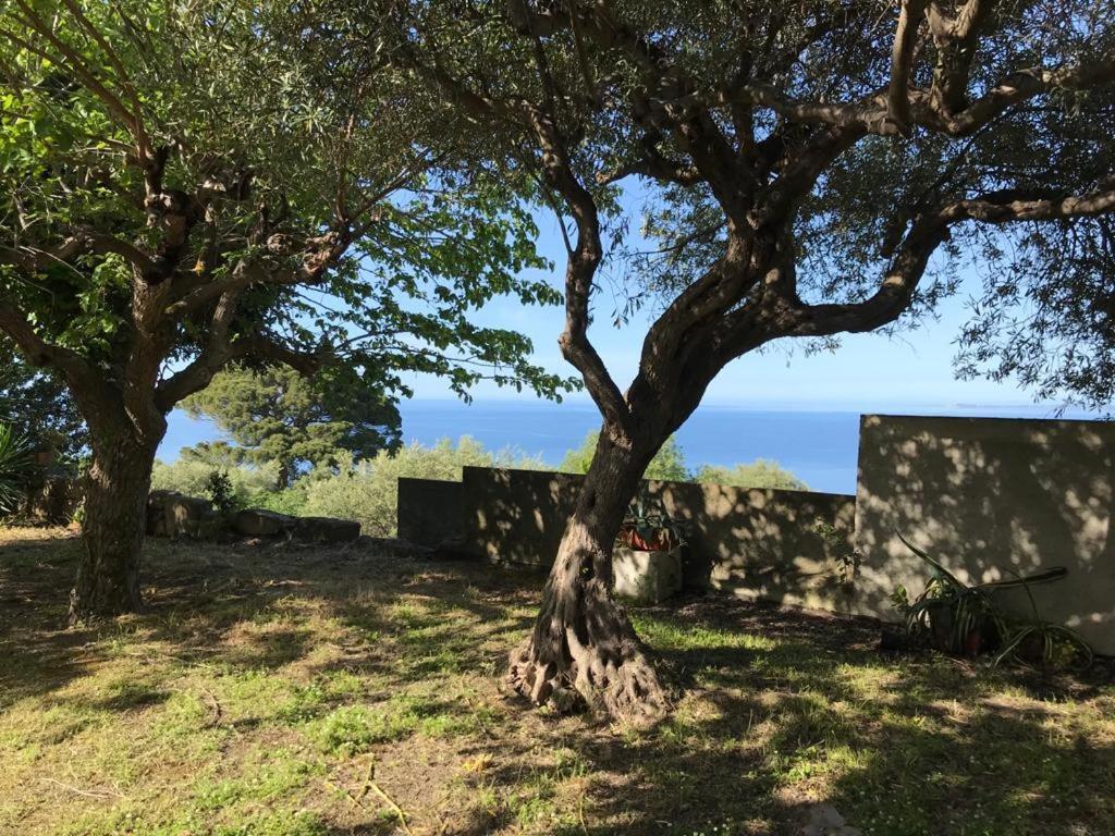 A Casa Di Peppino Villa Greco Tindari Exterior photo