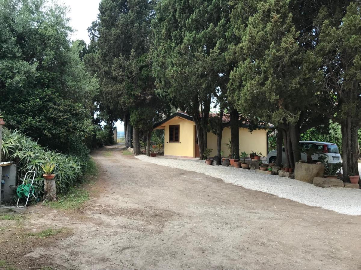 A Casa Di Peppino Villa Greco Tindari Exterior photo